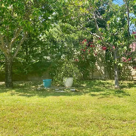 Asclepeias Ionian アルガッシ