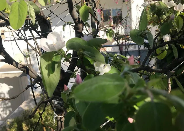 Villa Asclepeias Ionian