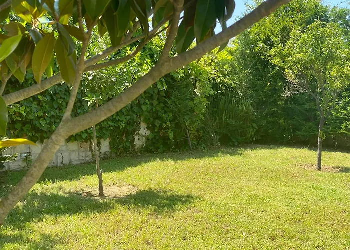 Villa Asclepeias Ionian Argassi