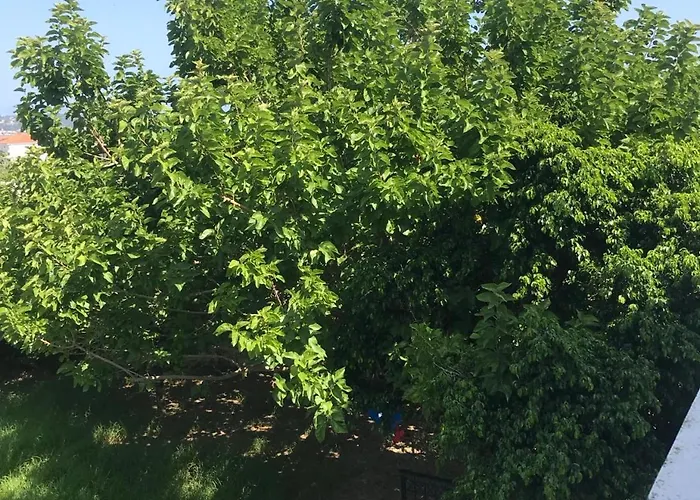 Asclepeias Ionian Argassi