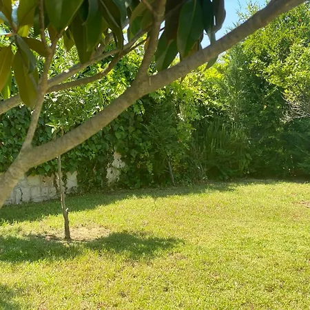 Vila Asclepeias Ionian Argassi