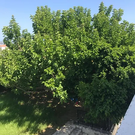 Asclepeias Ionian Argassi