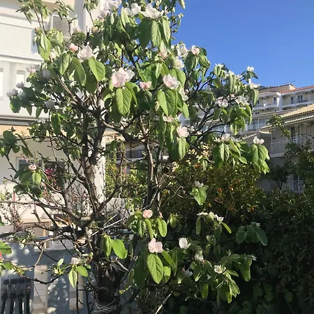 Asclepeias Ionian